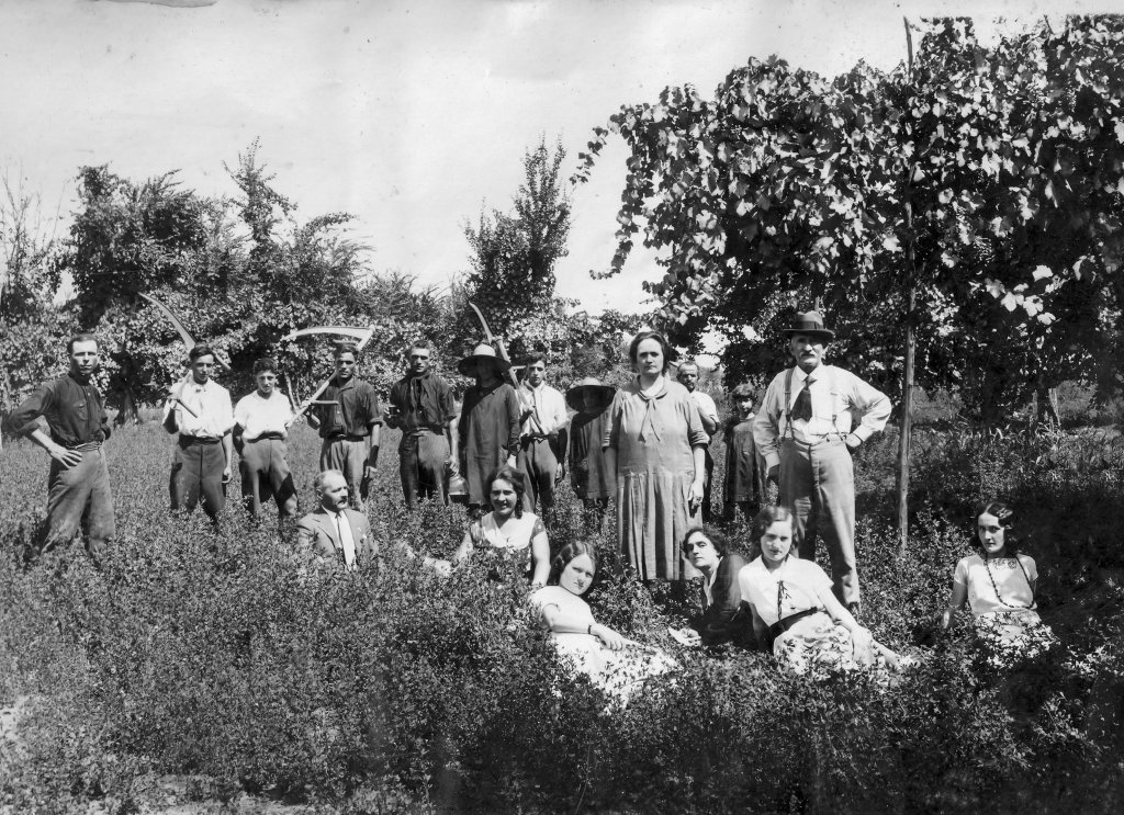 corte bruciata Vincenzo Magnanini Levratti fattore