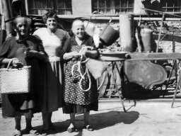 al polo Alberta Angelina Gina