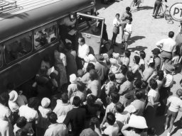 Colonia Comuni Reggiani Anni 50