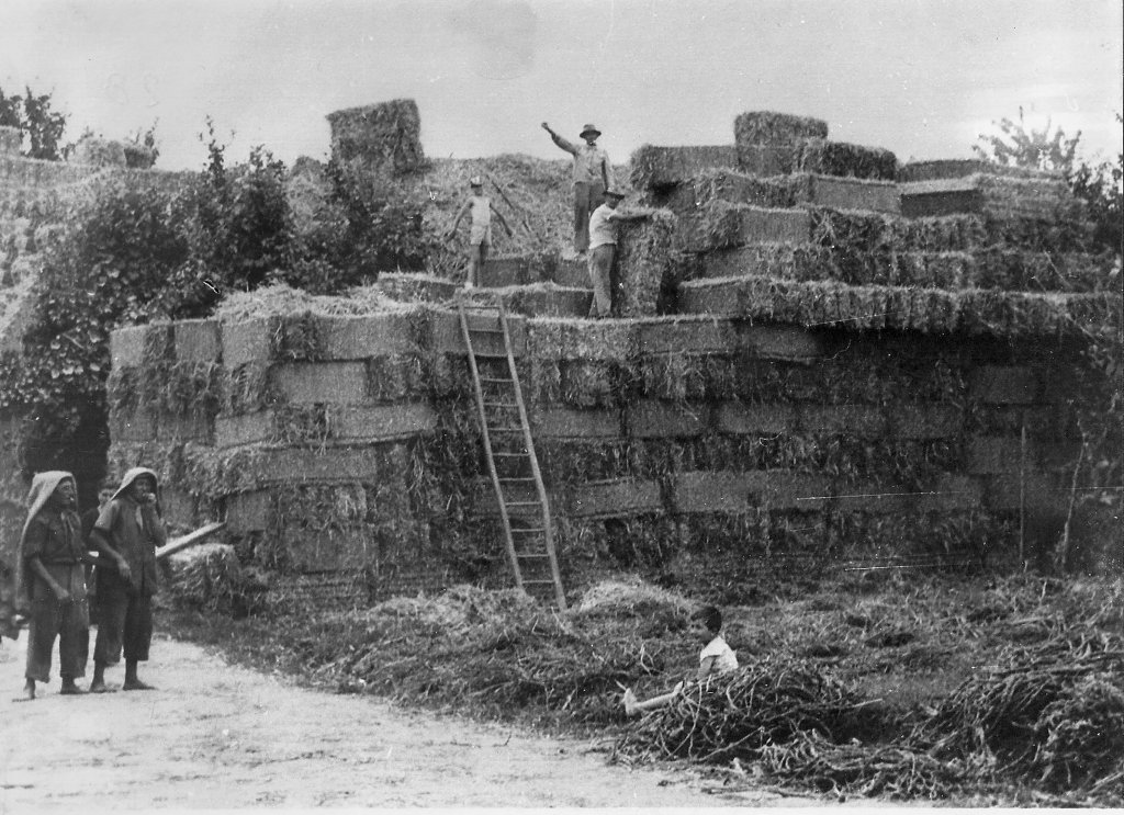 la montagna di paglia