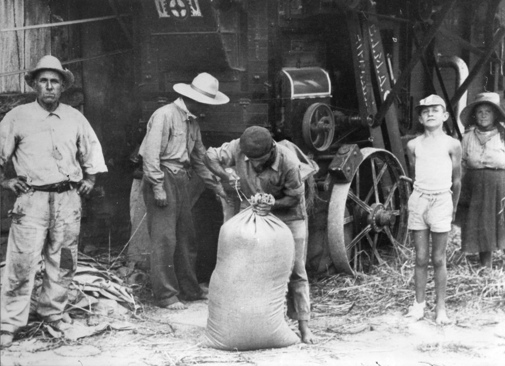 il sacco di frumento