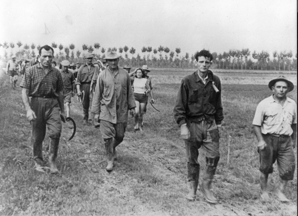 Bonini Elio - Vioni Maneccia - Davolio Marani Girolamo