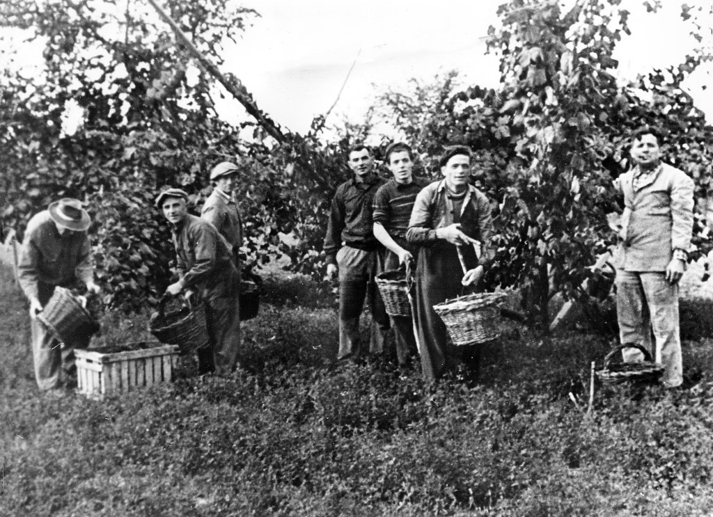 Mario Calzolari, Fornaciari Civic, Parmiggiani Trombin