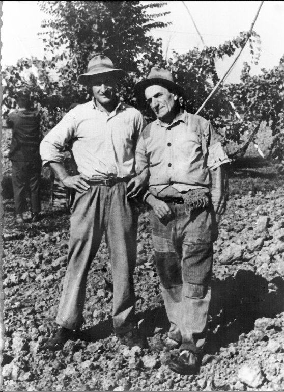 Vezzani Fortunato Rossetti Cicio