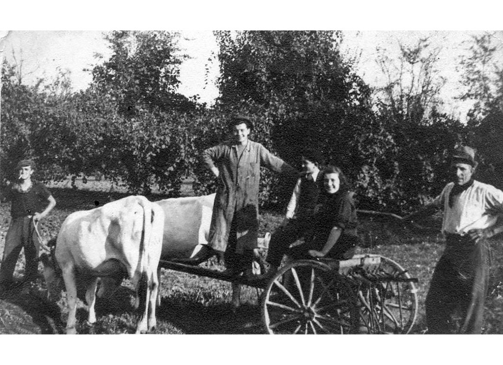 Bellesia Armando, figlio Guido nipoti Vanna e Armando, Alberici Lelio 1943 