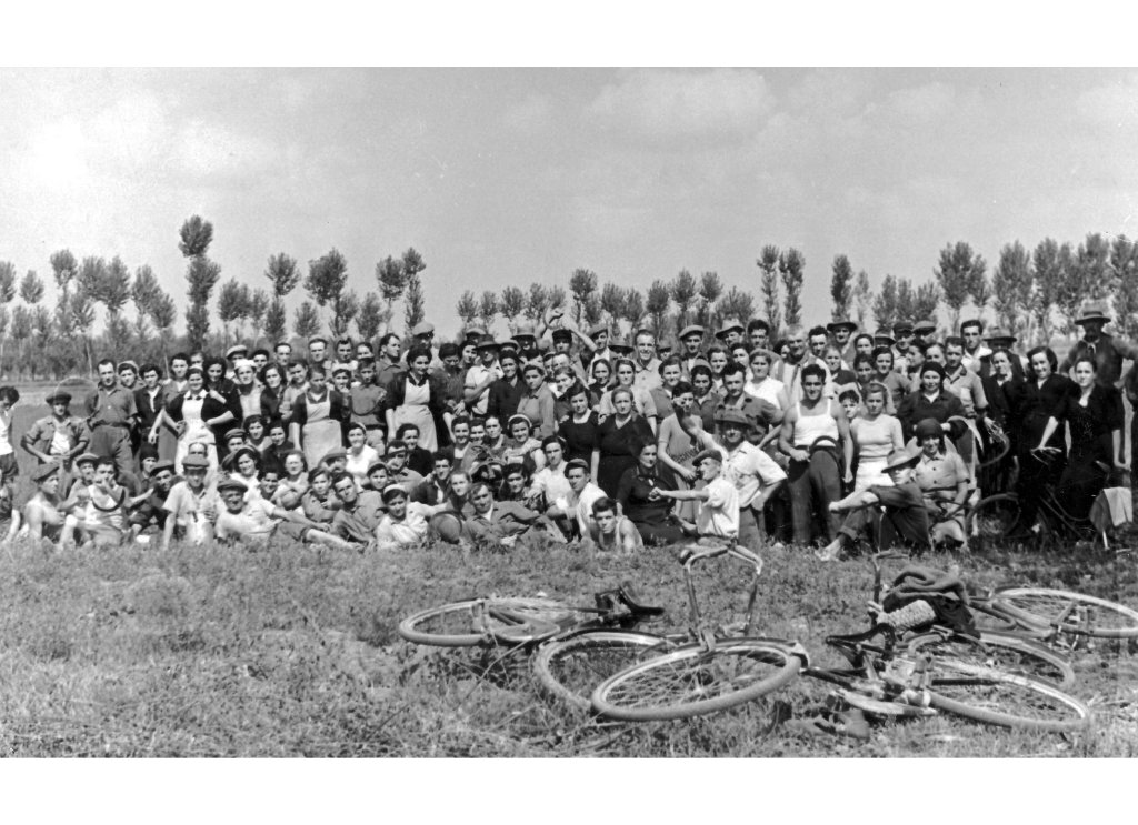 Coop Agricola 1952 risaia mietitura