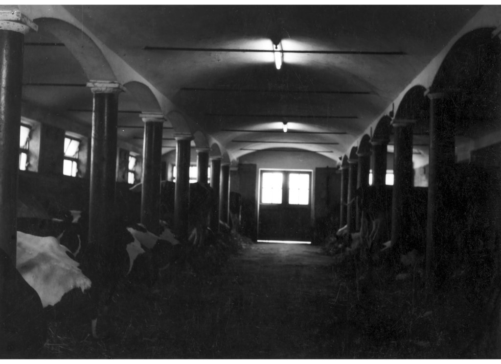 Coop Agricola 1953 la stalla della Fortinella