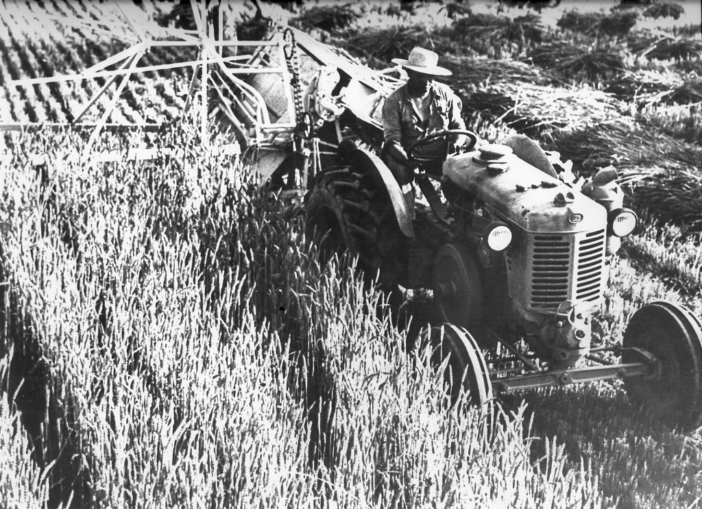 Mietitura Landini L25