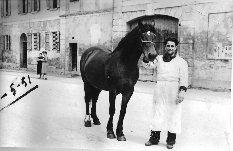 macelleria Giorgio