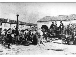 Spannocchiatura granoturco cinquantino 1930 Fantini 