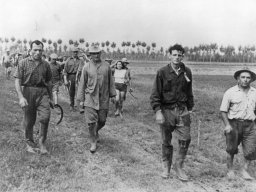 Bonini Elio - Vioni Maneccia - Davolio Marani Girolamo