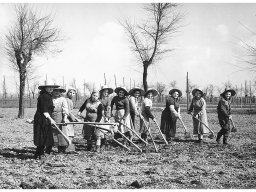 zappatrici Vezzani Flora