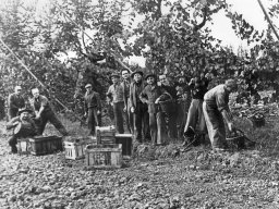 Foroni Aldo, Vezzani MUGIO, Magnanini ZIOZIO Borciani Aimone
