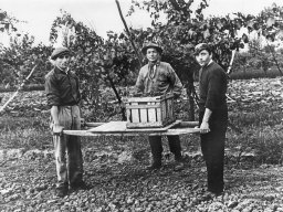 Foroni Girolamo, Pergreffi Edo, Ferretti Carlo