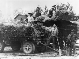 Amaini Giulio Pelegreffi