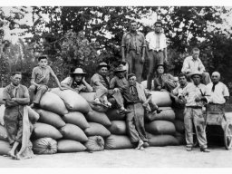 Pantaleoni Fusari Bartoli