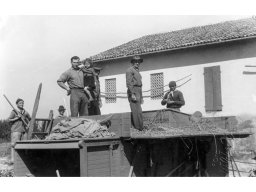 Coop Agricola 1952 trebbiatura riso