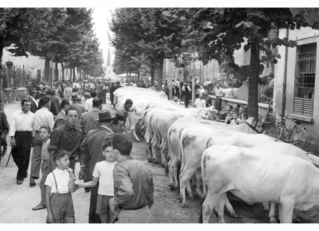 Via De Amicis - via Battisti Mostra agricola 1954
