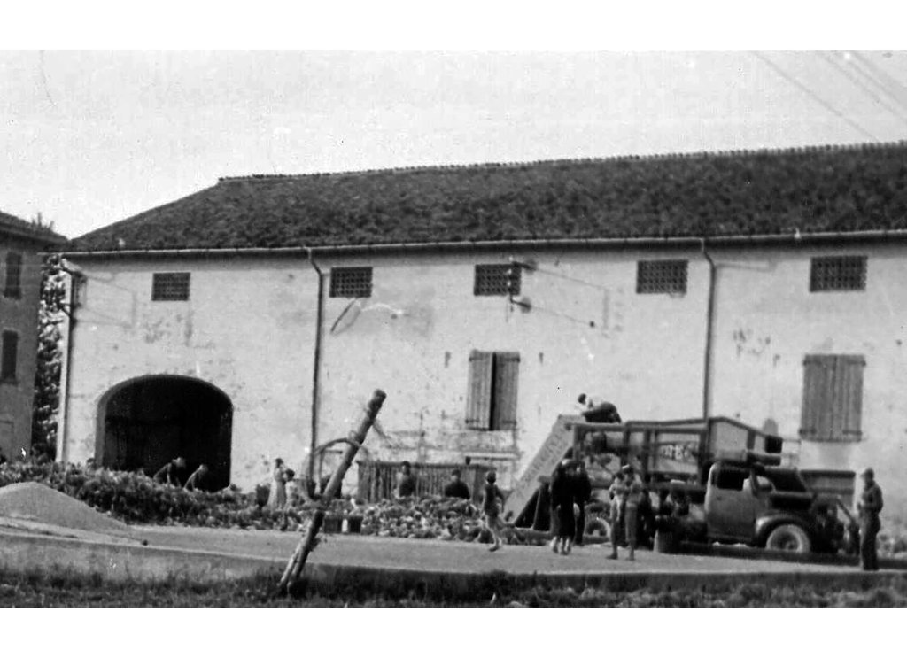 Coop Agricola 51-53 battitura granoturco