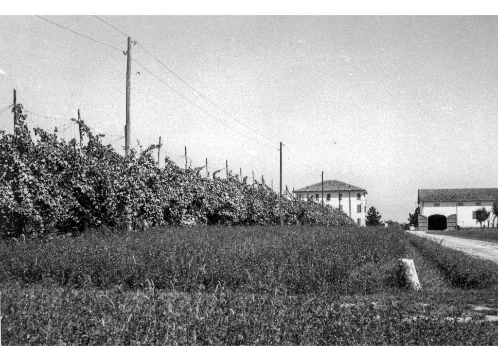 Coop Agricola anni 51-53 al Podere Fortinella