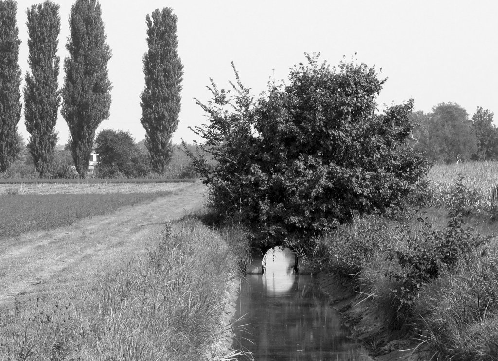 Via Ponticelli Ag 2009