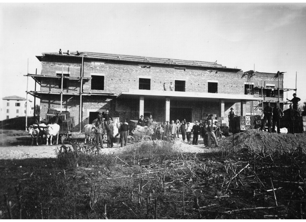 costruzione cantina sociale