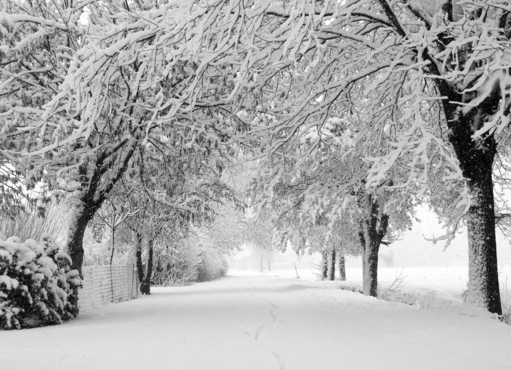 foto Fabbrico 2010 neve