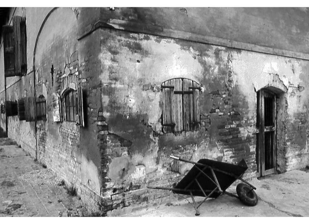 part Pussion cariulon