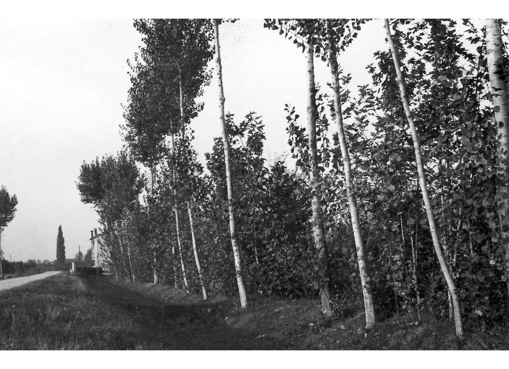 strada di campagna 1953