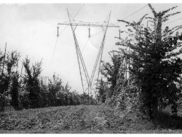 Coop Agricola anni 51-53 traliccio nei campi