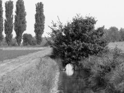 Via Ponticelli Ag 2009