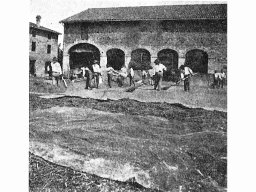 fondo donata primi 900