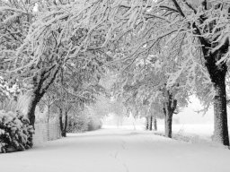 foto Fabbrico 2010 neve